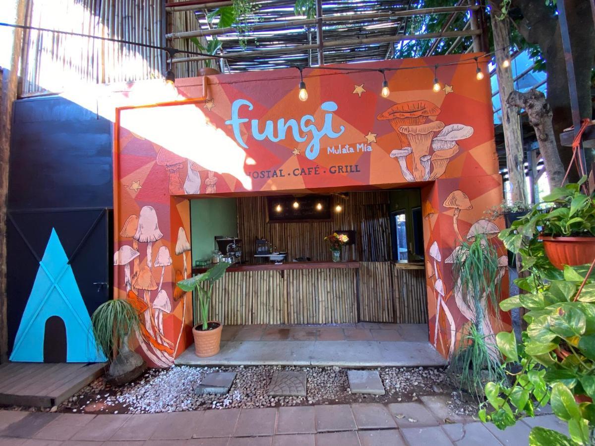 Fungi Tipis Hotel Tepoztlán Exterior foto